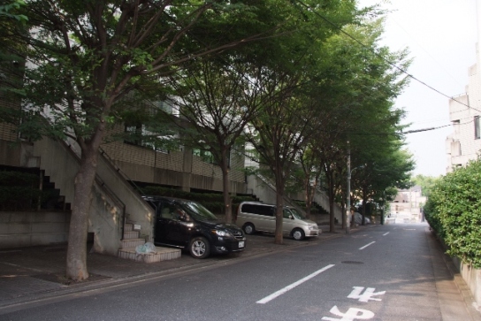 A笠0070ｳ0807氷川３高木がたっぷり植えられた集合住宅の駐車場.jpg